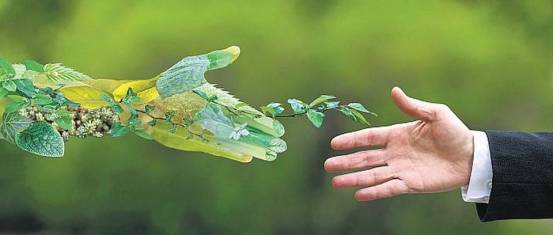 bl06_greenenergyfinance