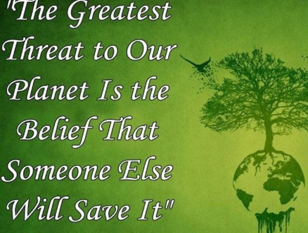 img-20171115-5a0c6f1305ee0